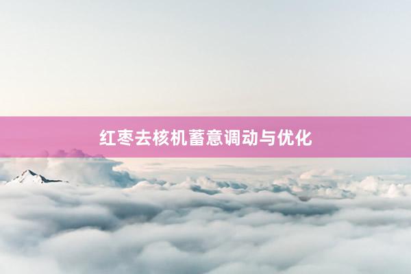 红枣去核机蓄意调动与优化
