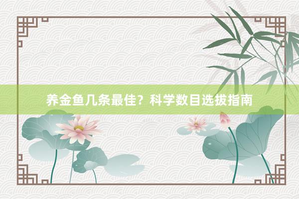 养金鱼几条最佳？科学数目选拔指南